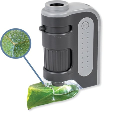 Carson MicroBrite Plus 60x-120x Accurate LED Lighted Pocket Microscope, Portable Educational STEM Toy, Mini Handheld Microscope