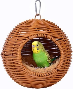 Bird Supplies