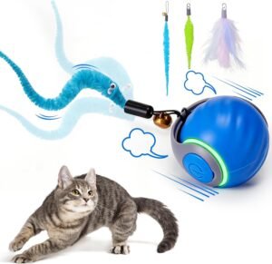 Cat Toys