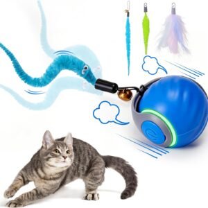 Cat Toys