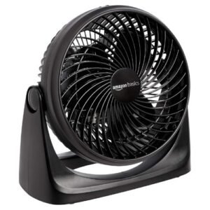 Circulator Fan