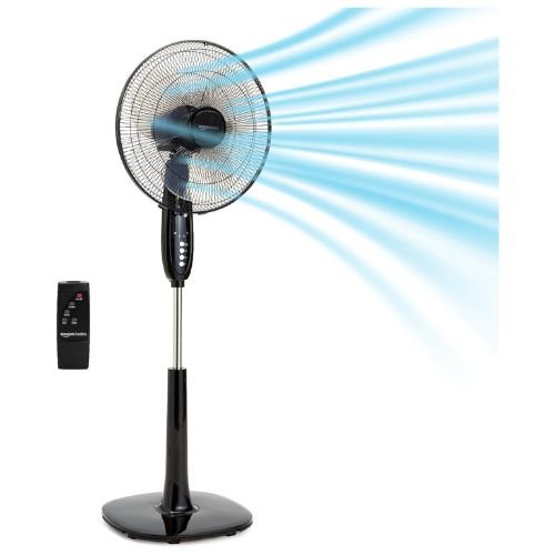 Pedestal Fan